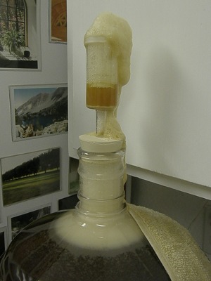 Escaping Wort
