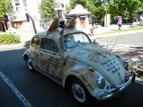 ashland_critter_bug2_thumb.jpg