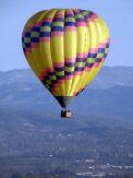 balloon_pal1_thumb.jpg