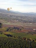 balloons_and_vineyards_thumb.jpg