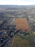 vineyards_fall_color_thumb.jpg