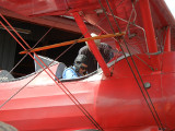 seat_belts_thumb.JPG