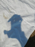 Space_alien_hand_shadow_thumb.JPG