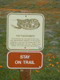 Stay_on_trail_thumb.JPG