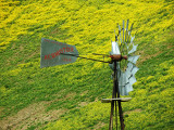 Windmill_Detail_thumb.jpg