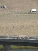 russian_river_bridge3_thumb.jpg