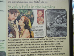 Akaka-Falls-Hollywood_thumb.JPG