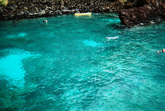 Joanna_in_Kealakekua_Bay_thumb.jpg