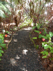 Volcano-Inn-path_thumb.JPG