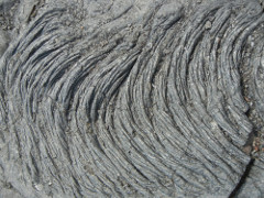 Volcano-Park-Chain-of-Craters-Road-lava_thumb.JPG