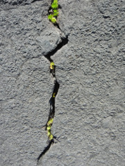 Volcano-Park-Kilauea-Iki-crater-crack-life_thumb.JPG