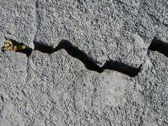 Volcano-Park-Kilauea-Iki-crater-crack_thumb.JPG