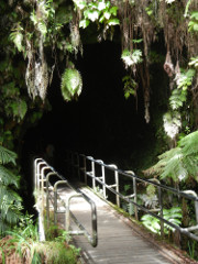Volcano-Park-Thurston-Lava-Tube-1_thumb.JPG