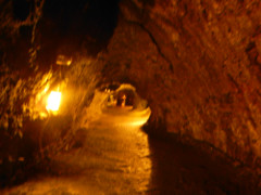 Volcano-Park-Thurston-Lava-Tube-3_thumb.JPG