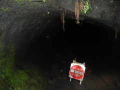 Volcano-Park-Thurston-Lava-Tube-6_thumb.JPG