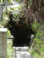 Volcano-Park-Thurston-Lava-Tube-7_thumb.JPG