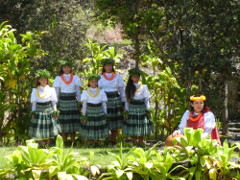 Volcano-park-hula-group_thumb.JPG