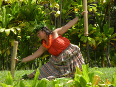 Volcano-park-hula_thumb.JPG