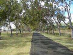 Waimea-Parker-Ranch-4_thumb.JPG