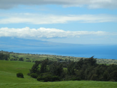Waimea-south_thumb.JPG