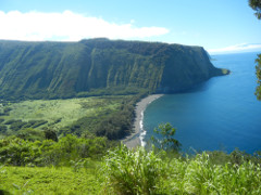 Waipio-overlook_thumb.JPG