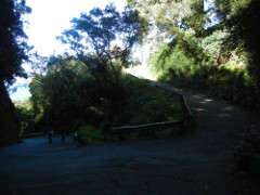 Waipio-road_thumb.JPG