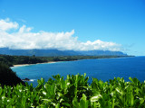 Kilauea_Light_view_north_long_thumb.JPG