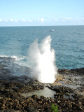 _spouting_horn_thumb.jpg
