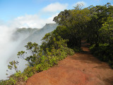 pihea_trail_2_thumb.JPG