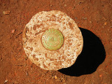 pihea_vista_benchmark_thumb.JPG