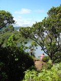 pihea_vista_fellow_hikers_below_benchmark_thumb.JPG