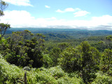 waimea_swamp_view_thumb.JPG