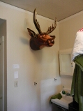 portland_Claires_digs_moose_thumb.jpg