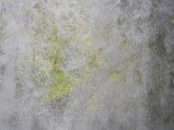 silver_falls_lower_south_falls_from_behind_thumb.jpg