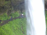silver_falls_south_falls_behind_thumb.jpg