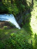 silver_falls_south_falls_top_thumb.jpg