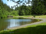 silver_falls_swimming_hole_thumb.jpg