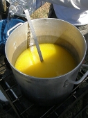 P6192416_chicken_soup_thumb.jpg